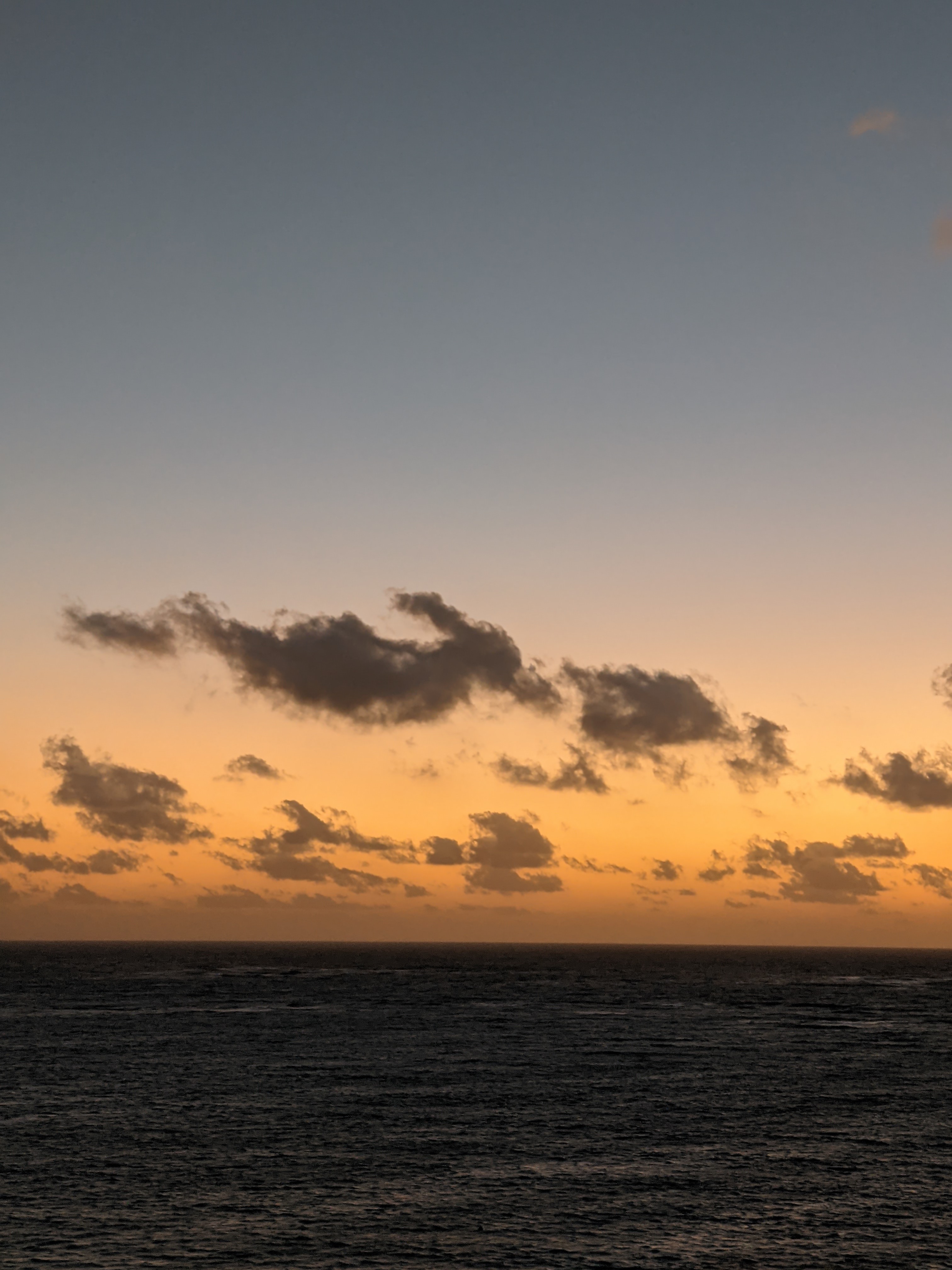 PXL_20210228_114317168.NIGHT_